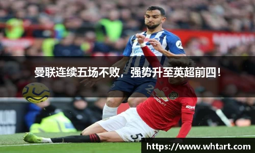 智博19