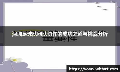 智博19有限公司